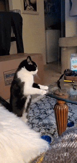 Acid GIFs, May 7 (25 gifs) Acid GIFs, May 7 (25 gifs)