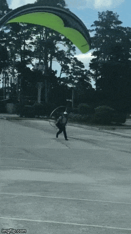 Acid GIFs, May 7 (25 gifs) Acid GIFs, May 7 (25 gifs)