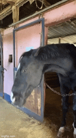 Acid GIFs, May 7 (25 gifs) Acid GIFs, May 7 (25 gifs)