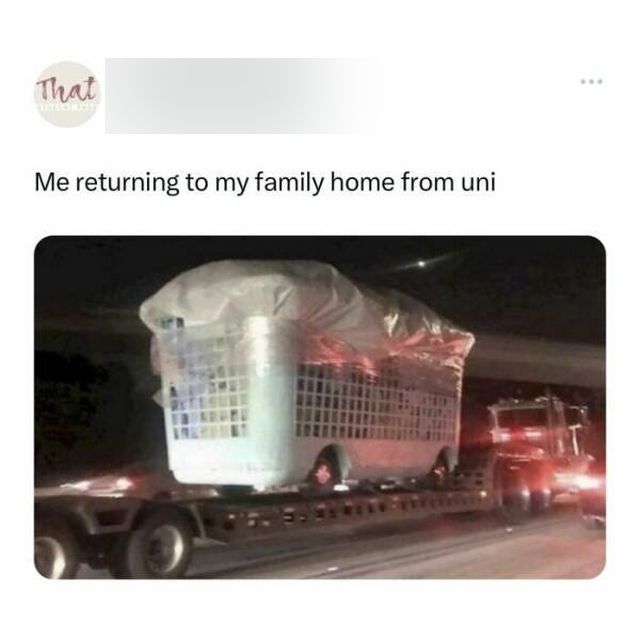 Memes About Student Life (25 pics)