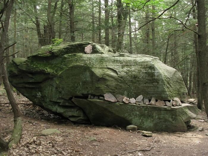 Strange Finds In The Forests (23 pics)