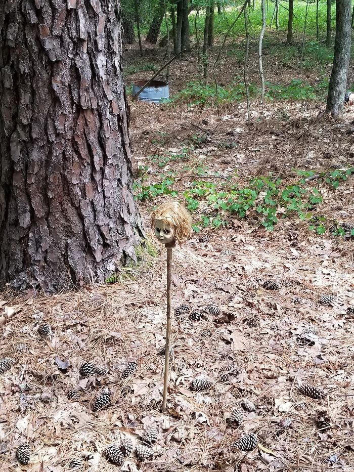 Strange Finds In The Forests (23 pics)