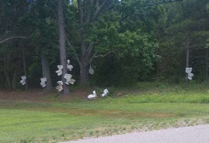 Strange Finds In The Forests (23 pics)
