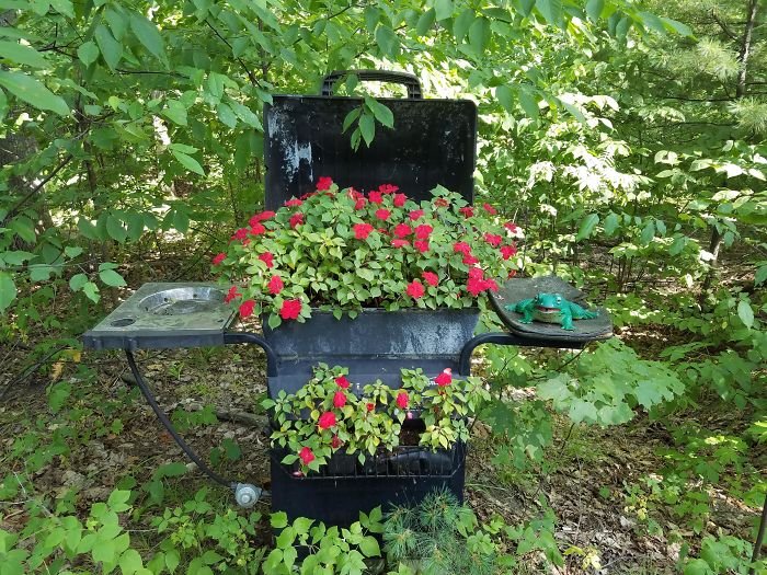 Strange Finds In The Forests (23 pics)