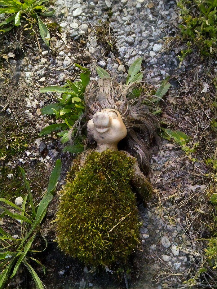 Strange Finds In The Forests (23 pics)