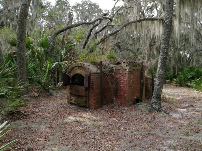 Strange Finds In The Forests (23 pics)