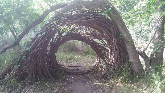 Strange Finds In The Forests (23 pics)