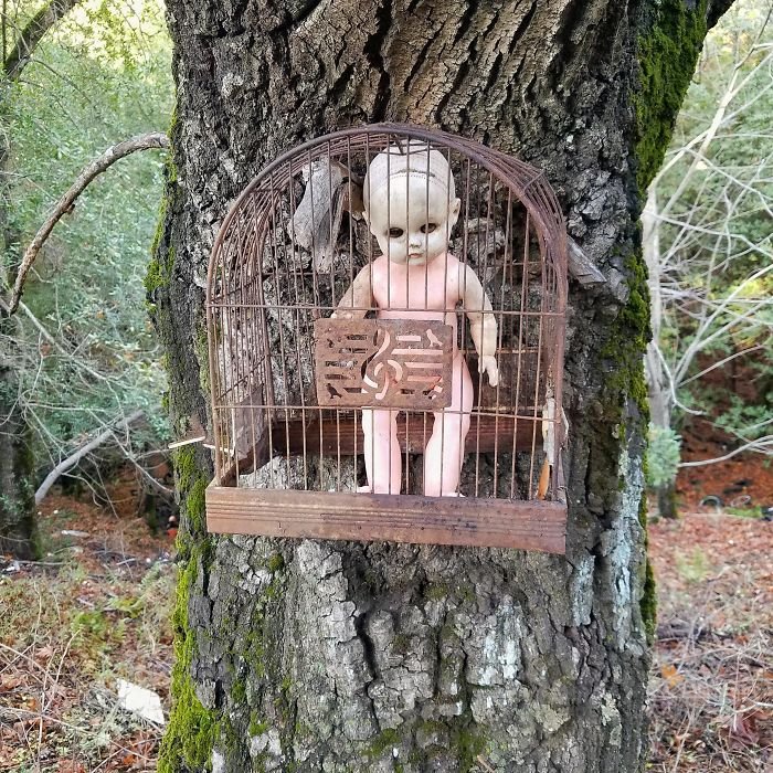 Strange Finds In The Forests (23 pics)