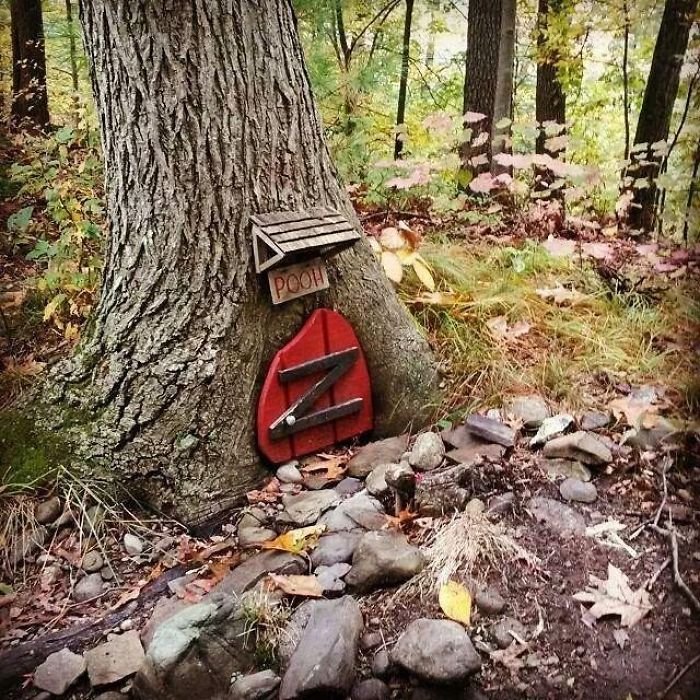 Strange Finds In The Forests (23 pics)
