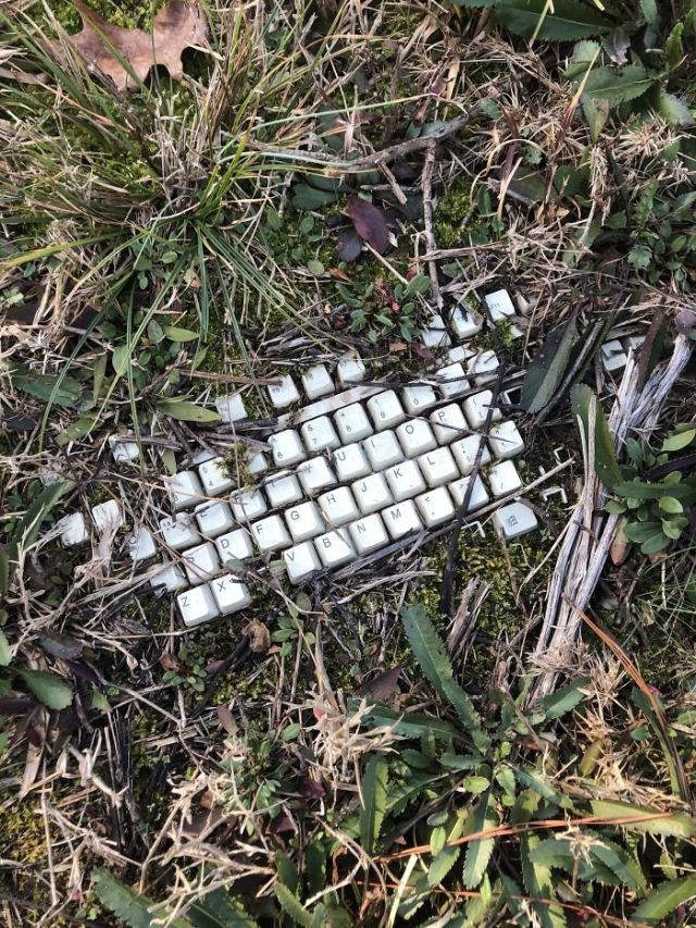Strange Finds In The Forests (23 pics)