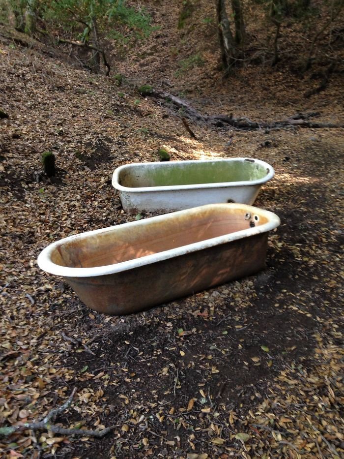 Strange Finds In The Forests (23 pics)