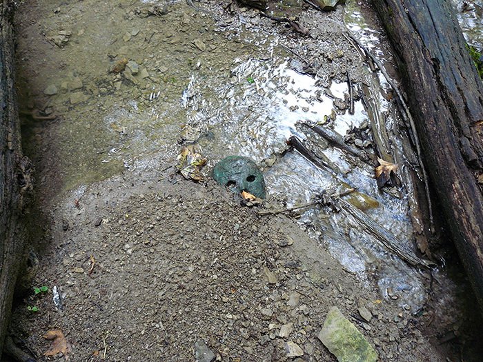 Strange Finds In The Forests (23 pics)