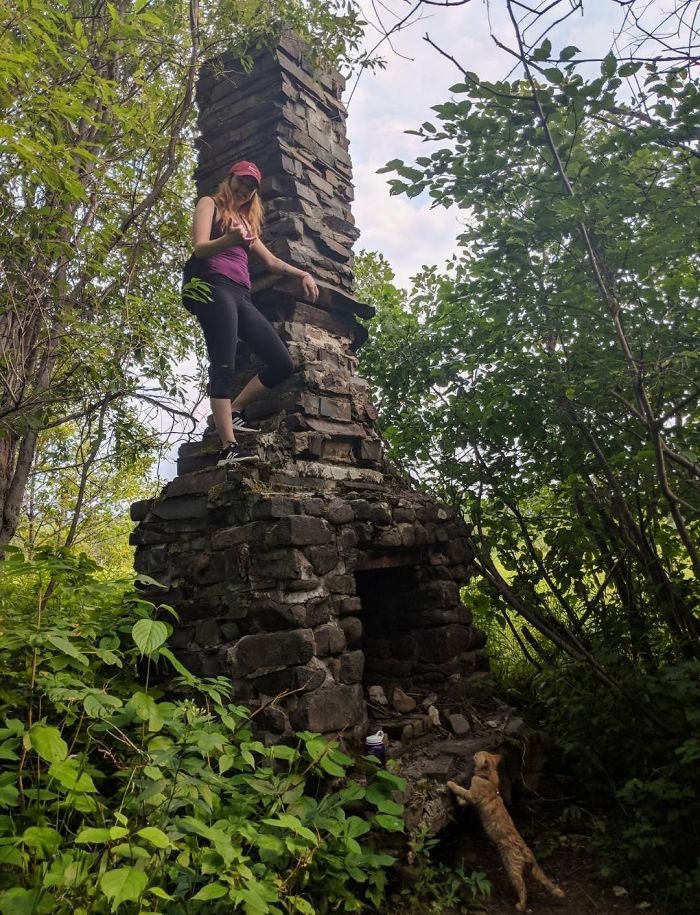 Strange Finds In The Forests (23 pics)