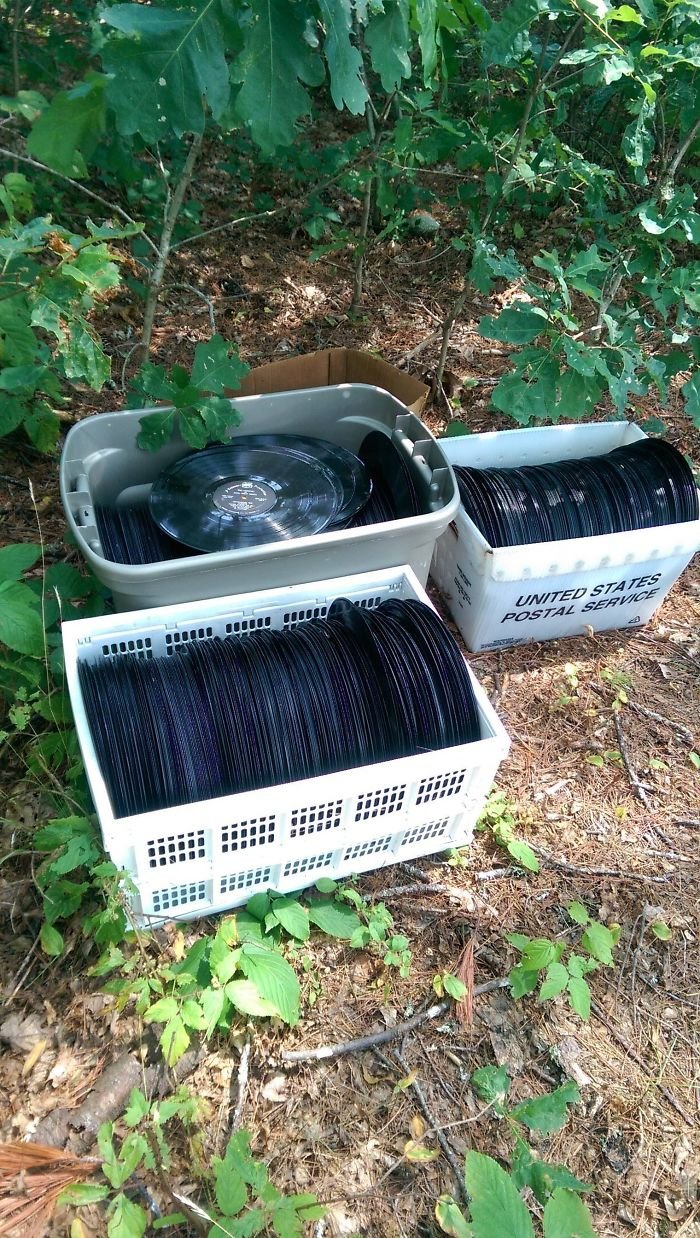 Strange Finds In The Forests (23 pics)
