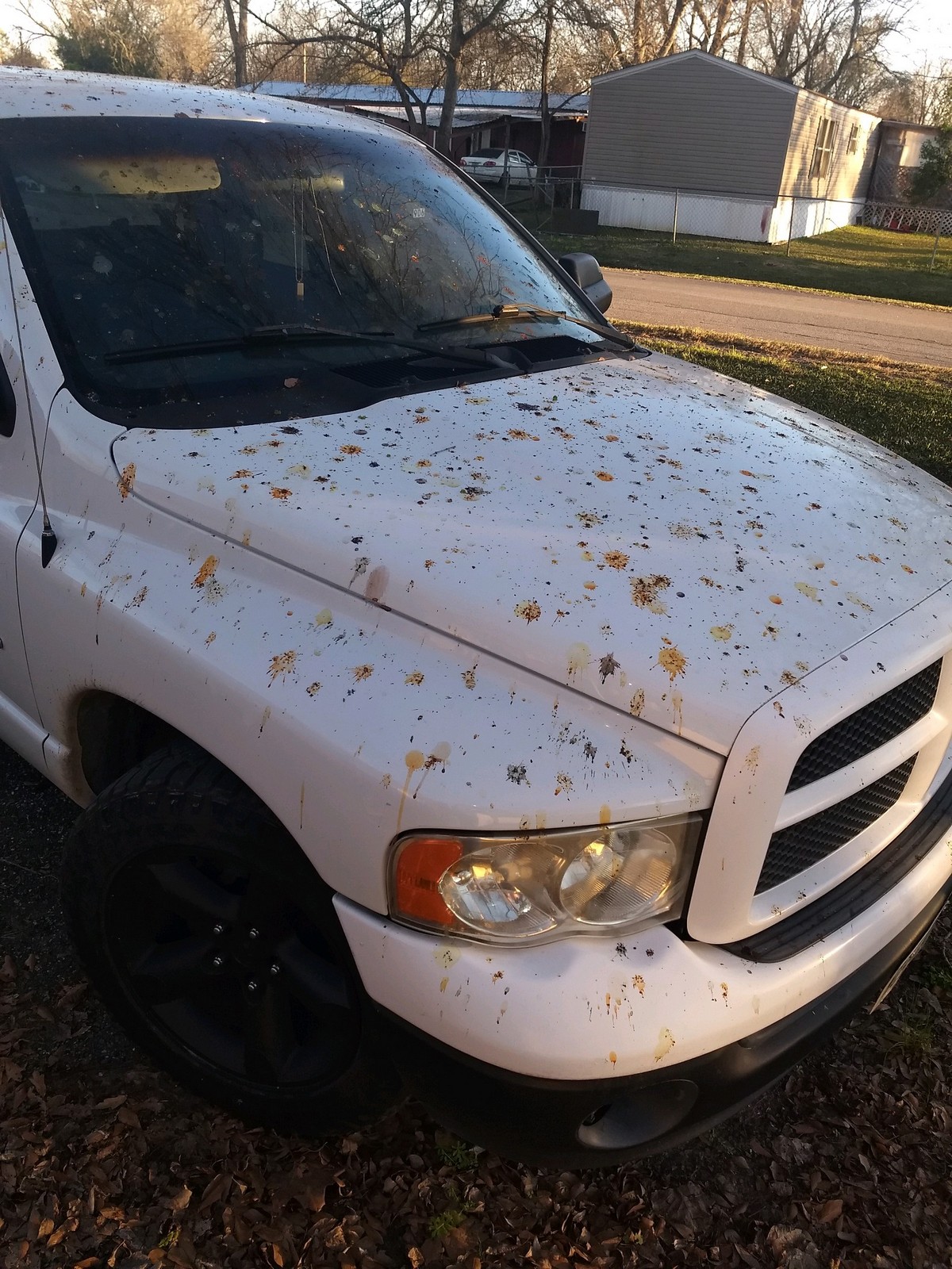 Bad Days Happen (23 pics)