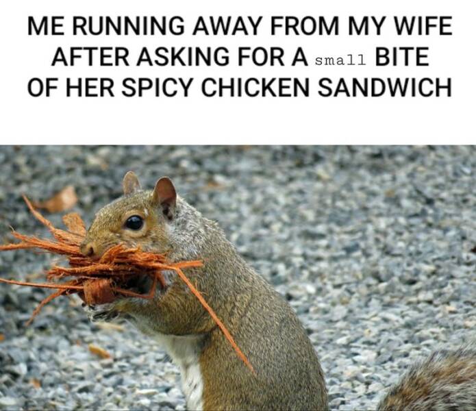 Daily Pictures. Part 2 (60 pics)