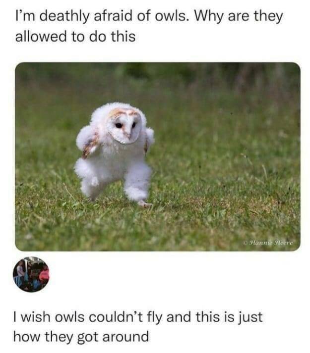 Daily Pictures. Part 2 (60 pics)