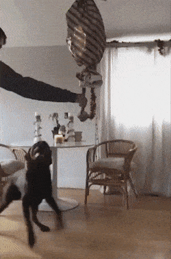 Acid GIFs, May 8 (25 gifs) Acid GIFs, May 8 (25 gifs)