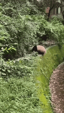 Acid GIFs, May 8 (25 gifs) Acid GIFs, May 8 (25 gifs)