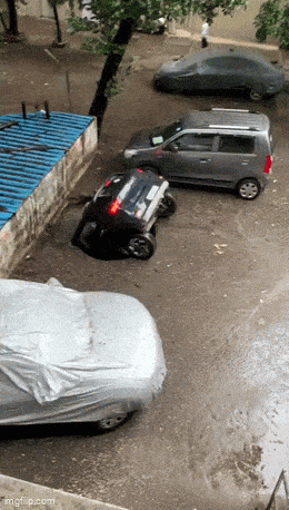 Acid GIFs, May 8 (25 gifs)