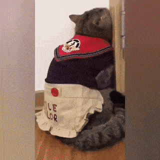 Acid GIFs, May 8 (25 gifs) Acid GIFs, May 8 (25 gifs)