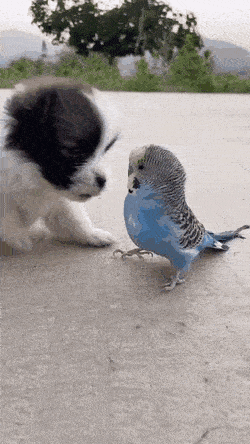 Acid GIFs, May 8 (25 gifs) Acid GIFs, May 8 (25 gifs)