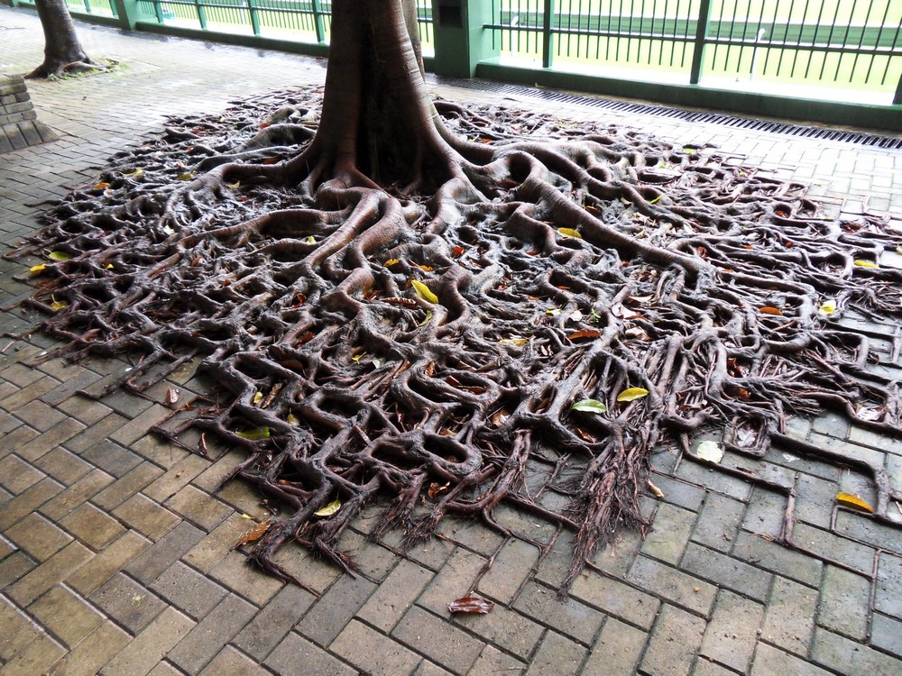 Photos For Perfectionists (21 pics)