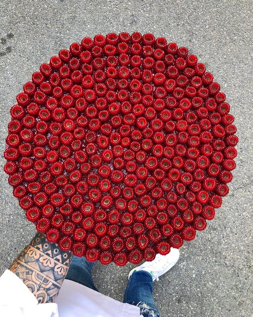 Photos For Perfectionists (21 pics)