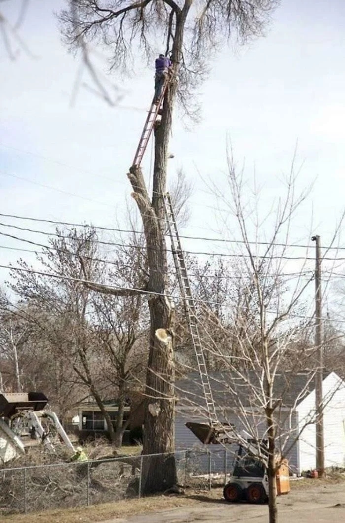 They Don't Think About Safety (25 pics)