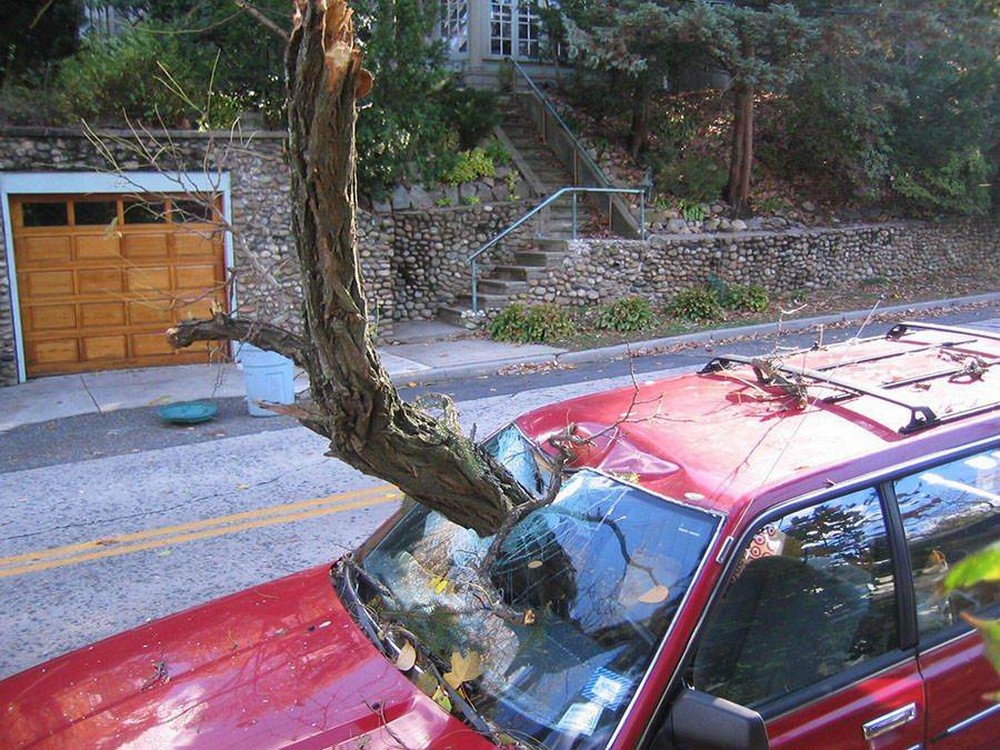 Bad Days Happen (25 pics)