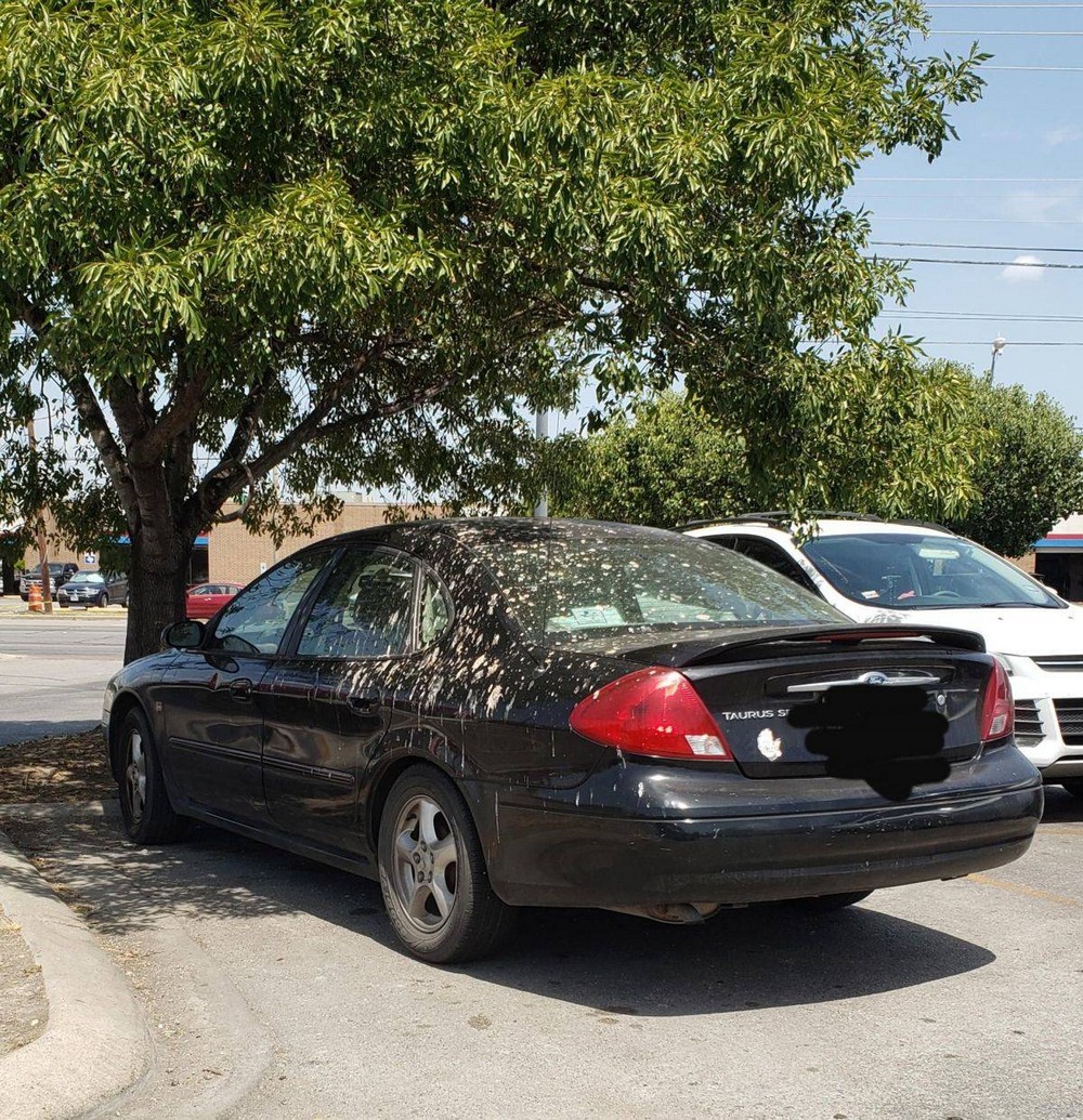Bad Days Happen (25 pics)