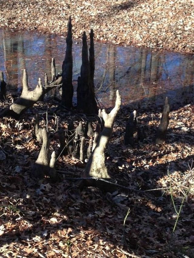 Creepy Photos (22 pics)