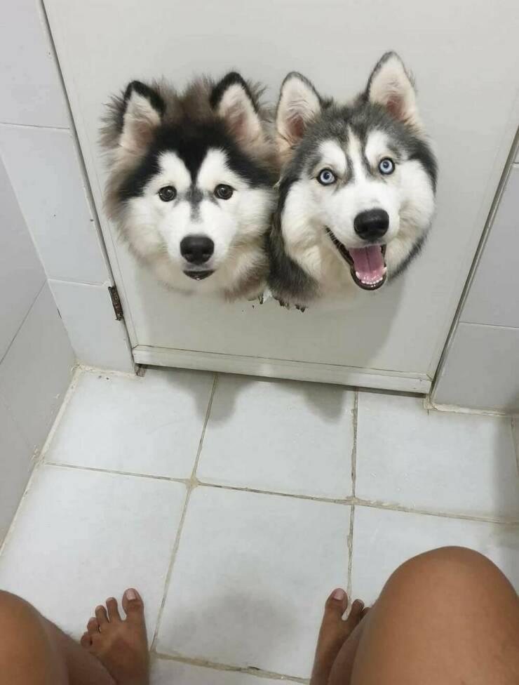 Daily Pictures. Part 1 (60 pics)