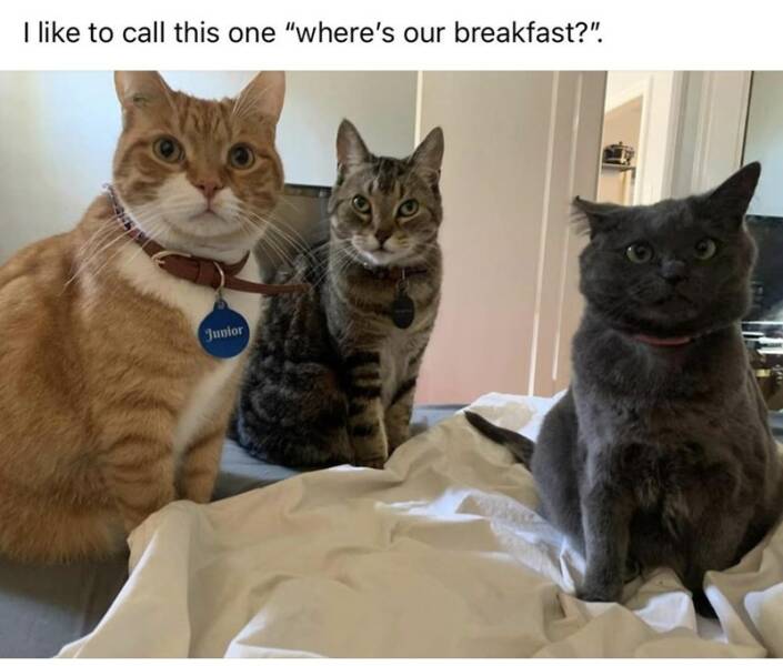 Daily Pictures. Part 2 (58 pics)