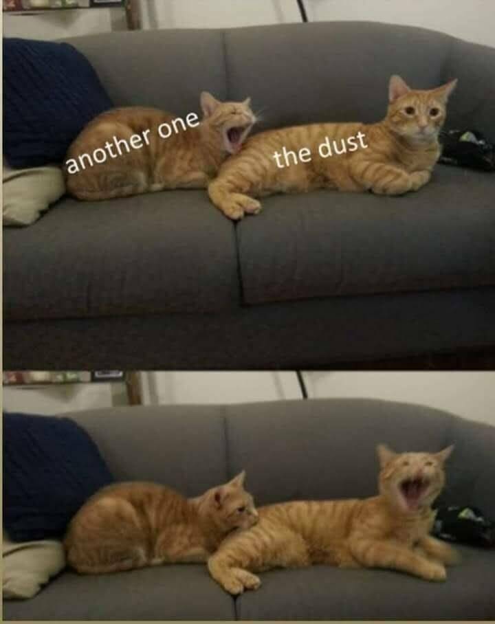 Daily Pictures. Part 2 (58 pics)
