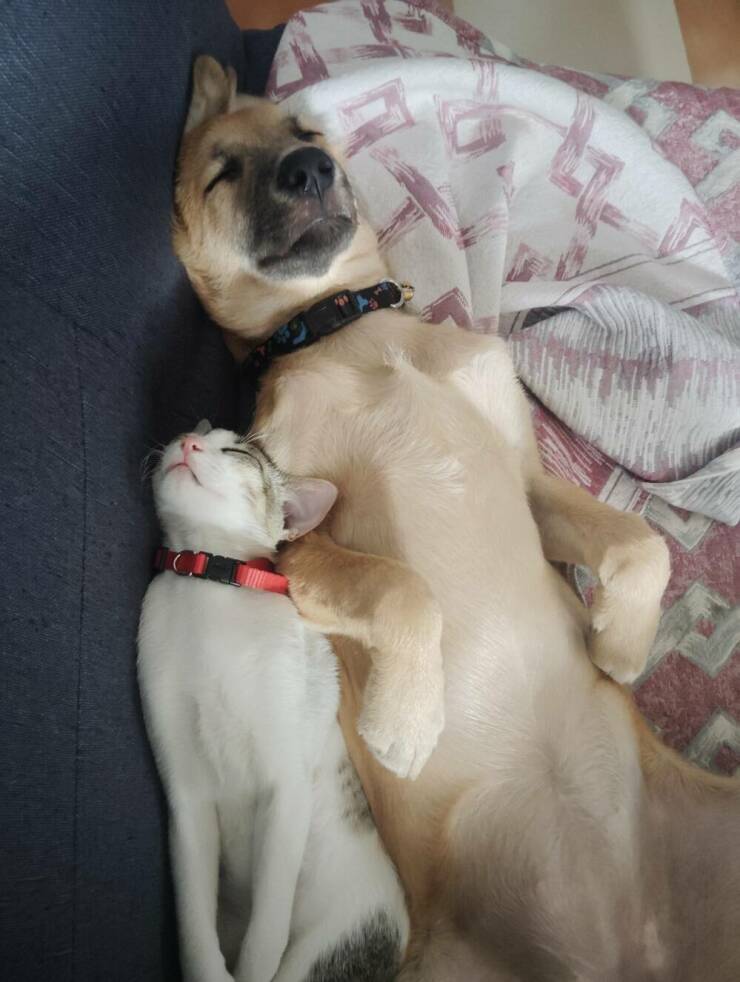 Daily Pictures. Part 2 (58 pics)