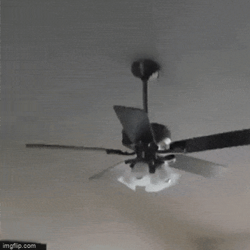 Acid GIFs, May 9 (25 gifs) Acid GIFs, May 9 (25 gifs)