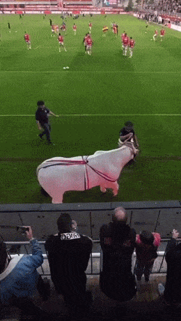 Acid GIFs, May 9 (25 gifs) Acid GIFs, May 9 (25 gifs)