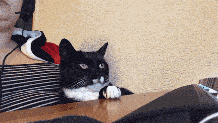 Acid GIFs, May 9 (25 gifs) Acid GIFs, May 9 (25 gifs)