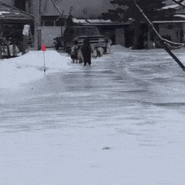 Acid GIFs, May 9 (25 gifs) Acid GIFs, May 9 (25 gifs)