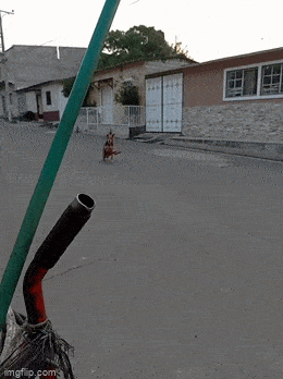 Acid GIFs, May 9 (25 gifs) Acid GIFs, May 9 (25 gifs)