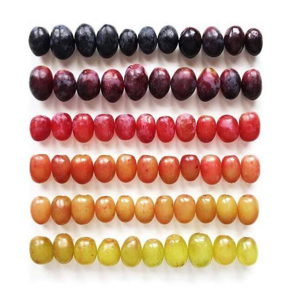 Photos For Perfectionists (20 pics)
