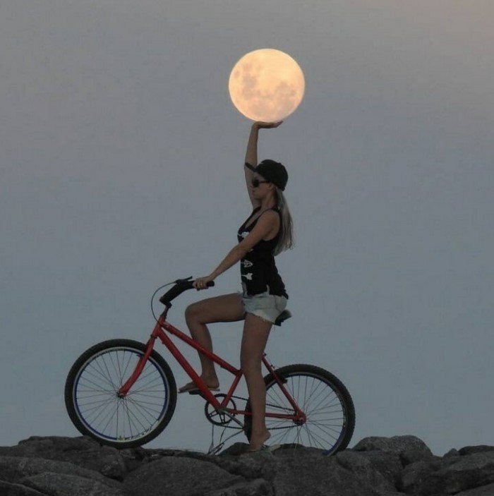 Right Moment (20 pics)