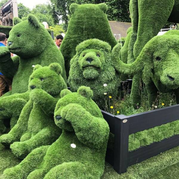 Daily Pictures. Part 1 (61 pics)