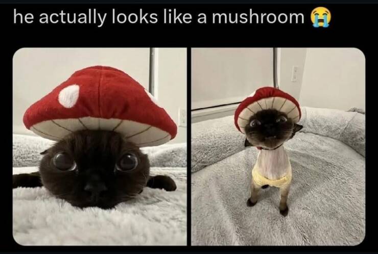 Daily Pictures. Part 2 (59 pics)