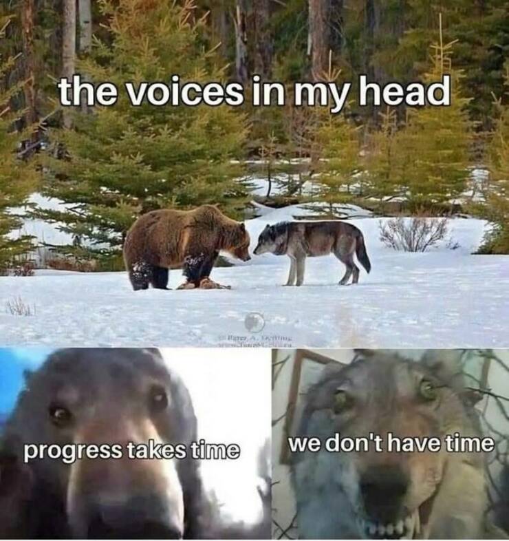 Daily Pictures. Part 2 (59 pics)