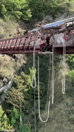 Acid GIFs, May 12 (25 gifs) Acid GIFs, May 12 (25 gifs)