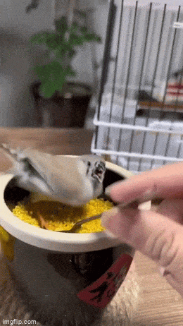 Acid GIFs, May 12 (25 gifs) Acid GIFs, May 12 (25 gifs)