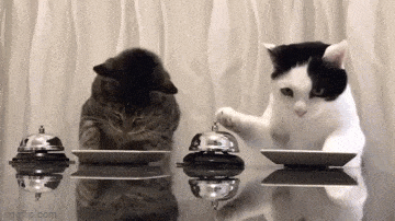 Acid GIFs, May 12 (25 gifs)