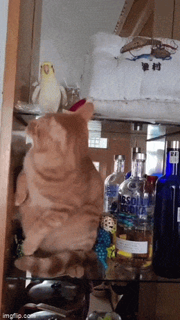 Acid GIFs, May 12 (25 gifs) Acid GIFs, May 12 (25 gifs)